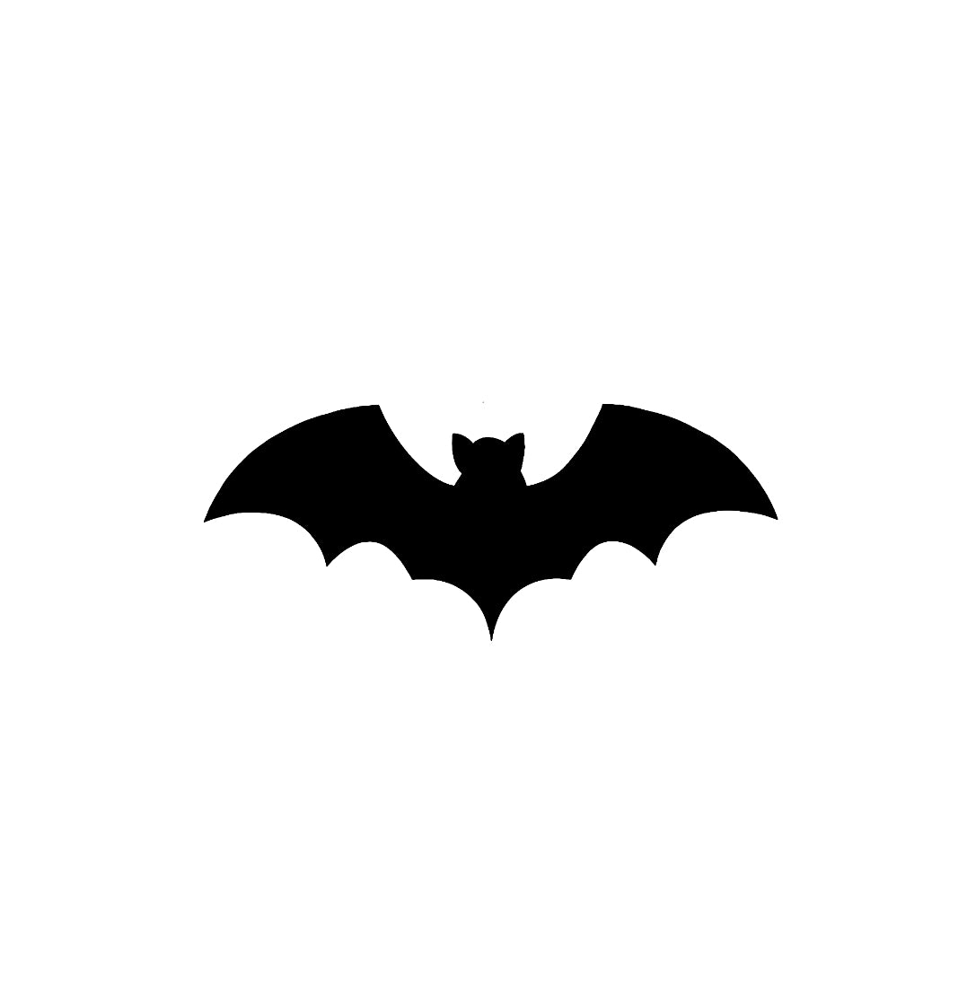 Bat