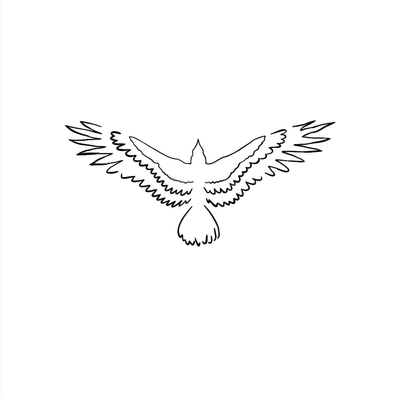 Aigle royale